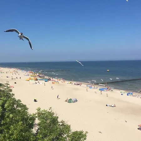 Marea Διαμέρισμα *